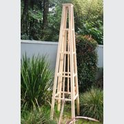 Garden Trellis/Obelisk gallery detail image