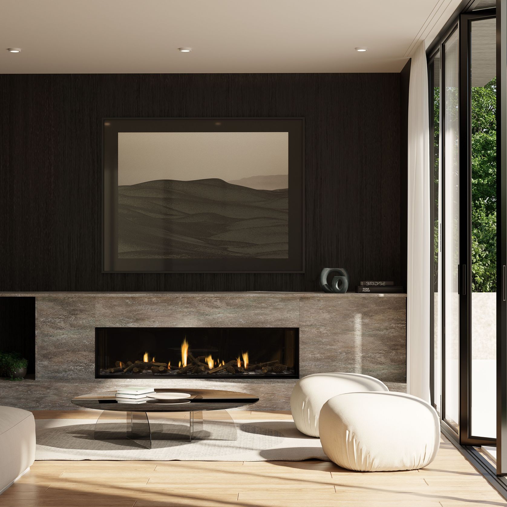 Escea DS1650 High Output Frameless Gas Fireplace gallery detail image