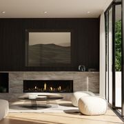 Escea DS1650 High Output Frameless Gas Fireplace gallery detail image