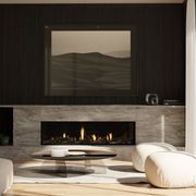 Escea DS1650 High Output Frameless Gas Fireplace gallery detail image