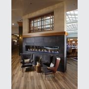 Davinci See Thru Gas Fireplace gallery detail image