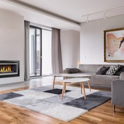 Rinnai Evolve 1253 Plus Inbuilt Gas Fireplace gallery detail image