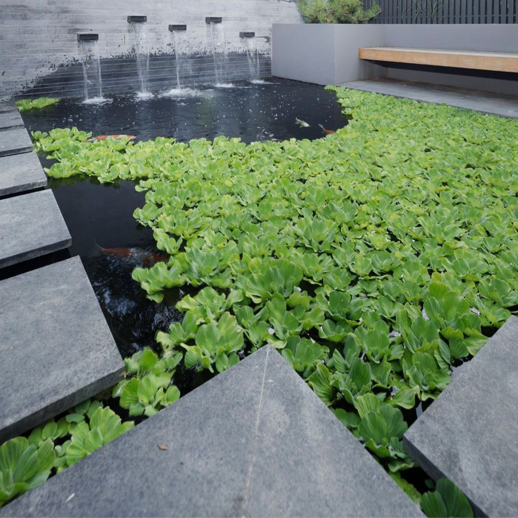 Charcoal Grey Granite gallery detail image