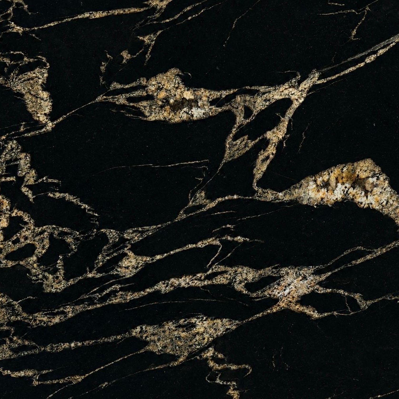 Spider Gold Granite | Natural Stone gallery detail image