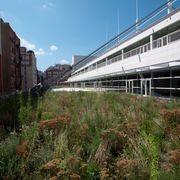 Viking Roof Garden System gallery detail image