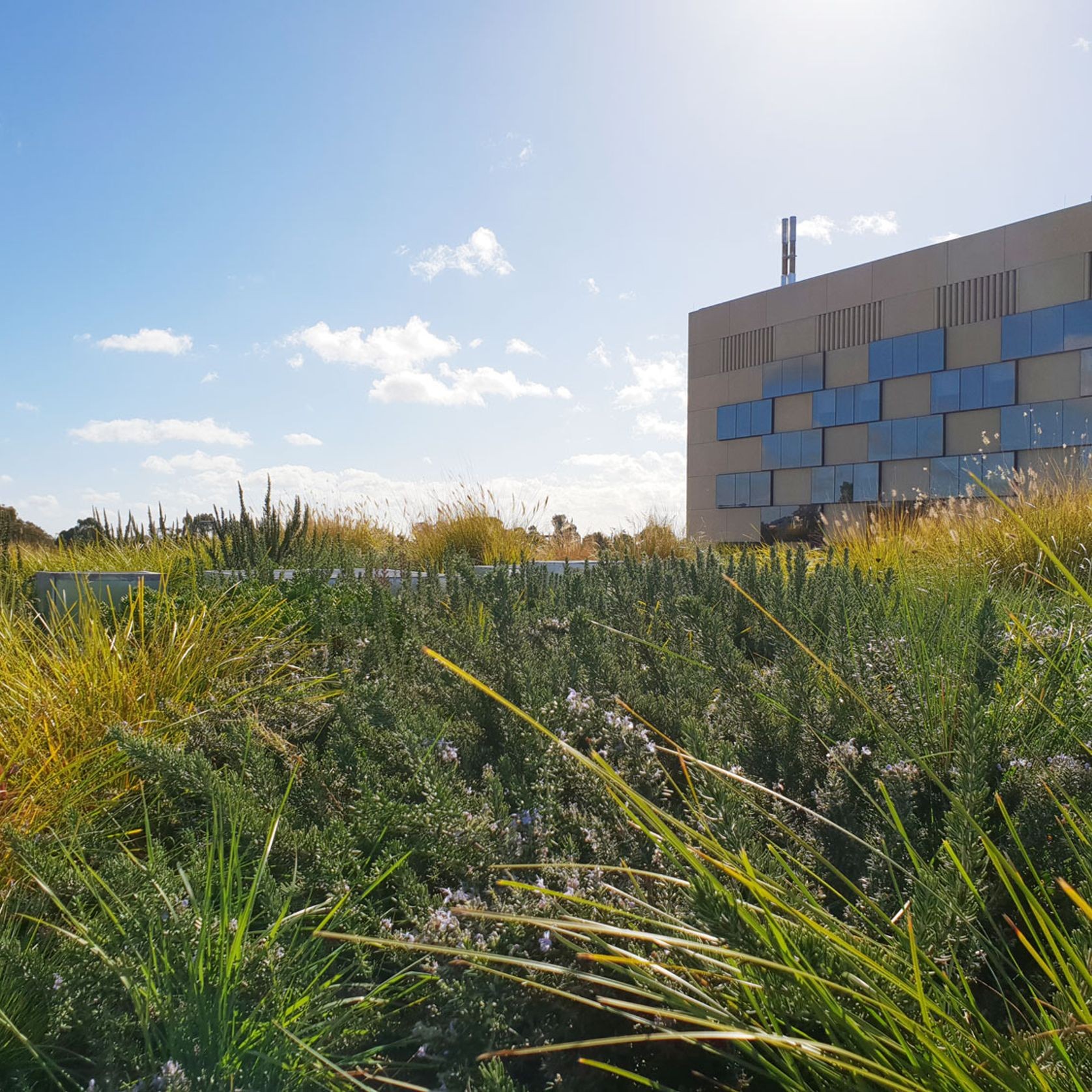 SRS Roof Garden gallery detail image