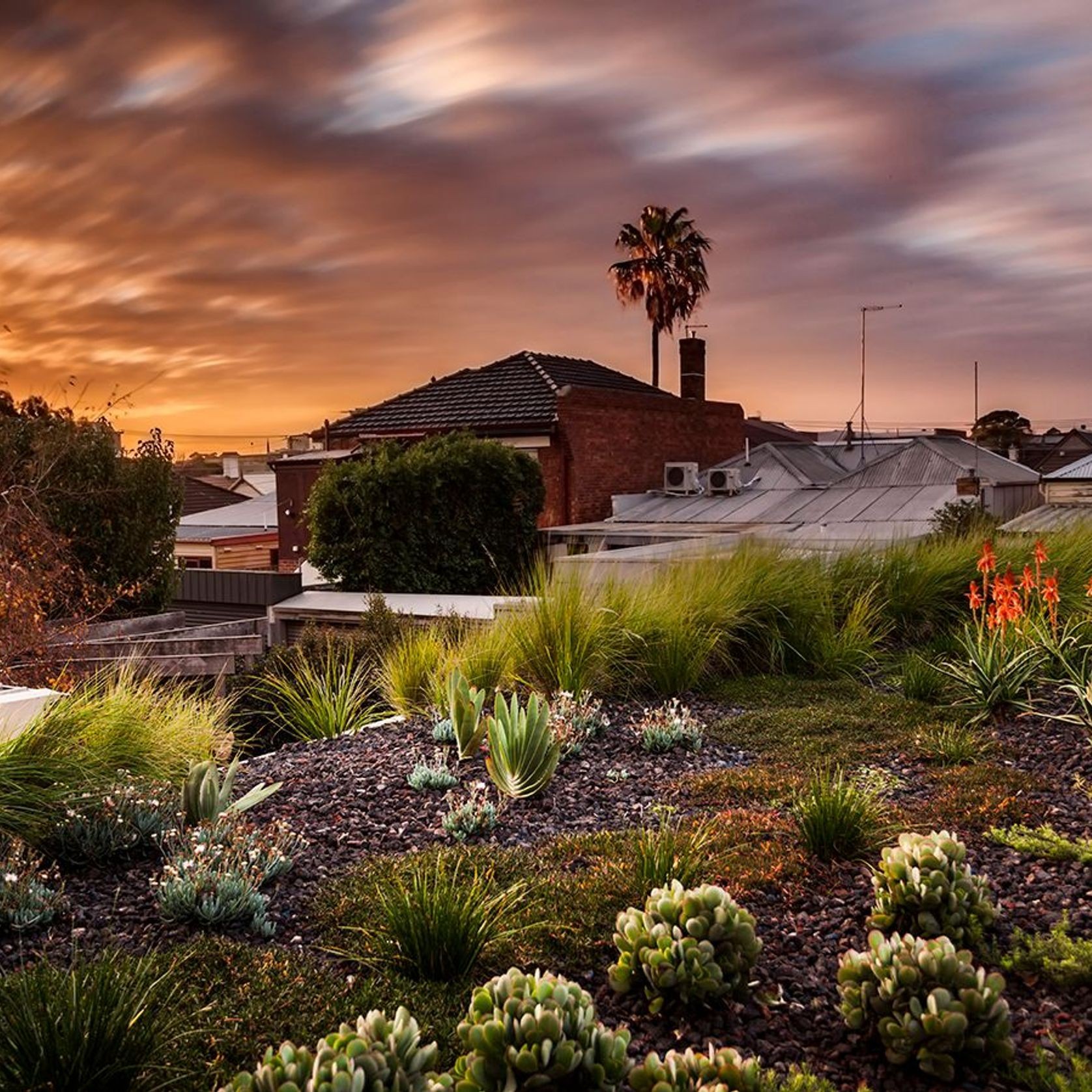 SRS Roof Garden gallery detail image