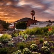 SRS Roof Garden gallery detail image