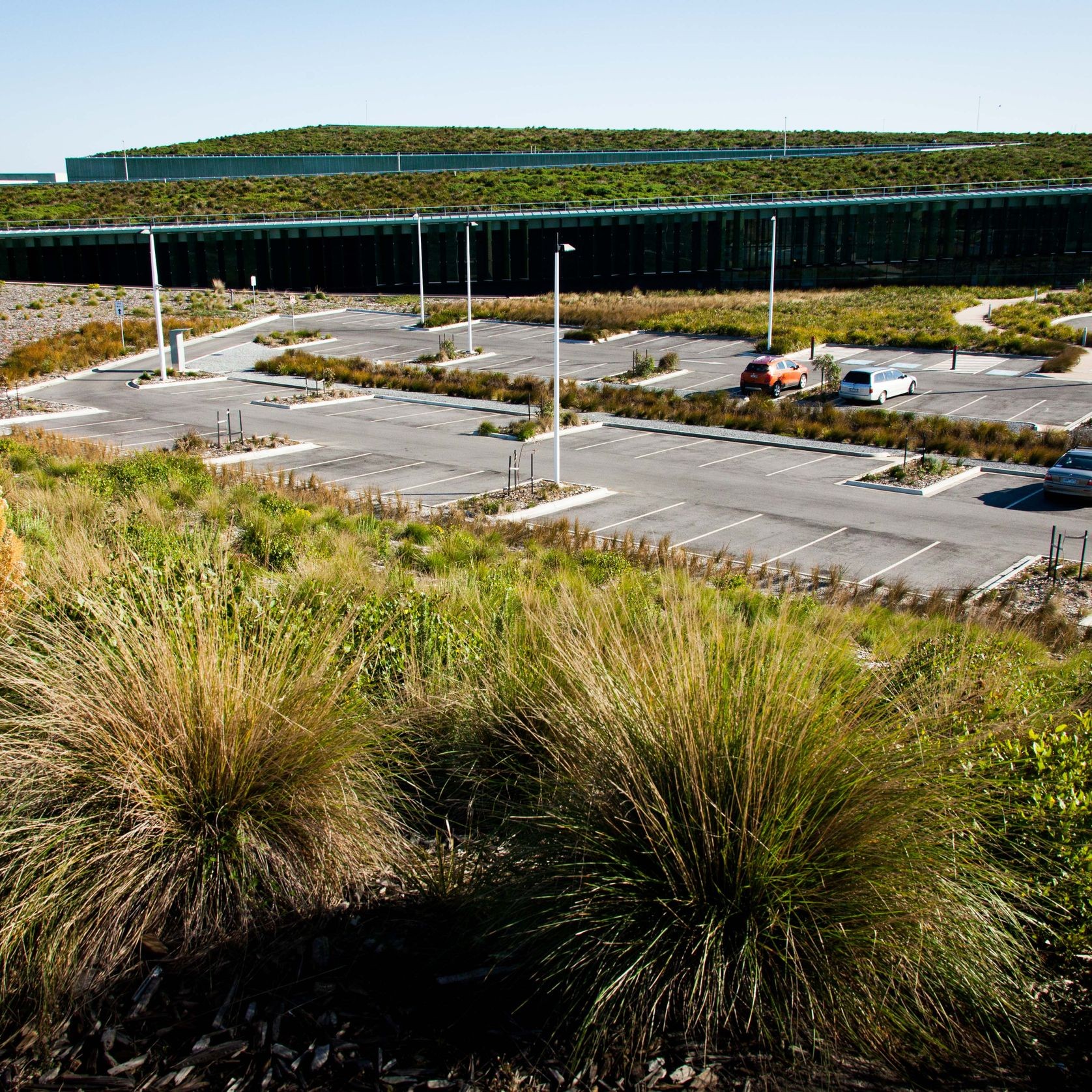 SRS Roof Garden gallery detail image