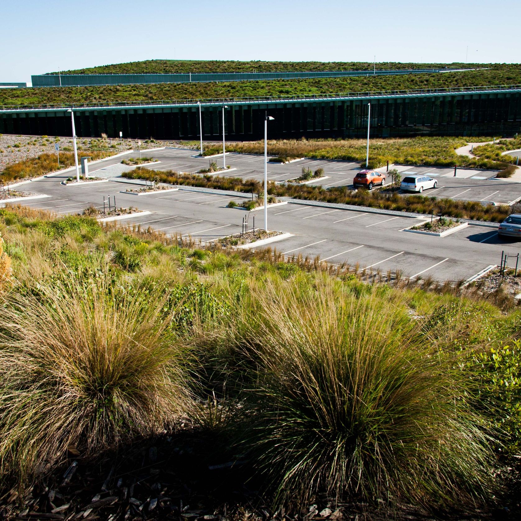 SRS Roof Garden gallery detail image