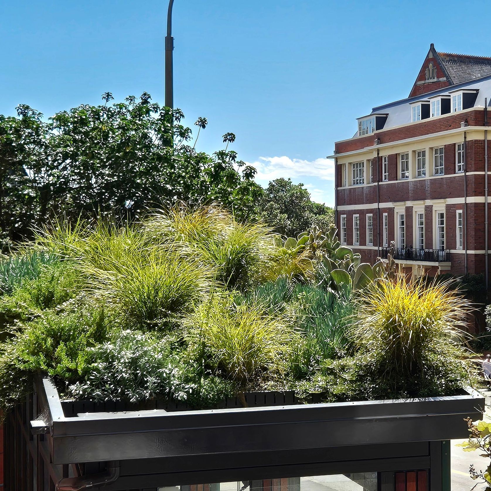 DUOTHERM Green Roof System gallery detail image