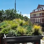 DUOTHERM Green Roof System gallery detail image