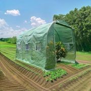Strong Tunnel Greenhouse Galvanised Frame | 3m gallery detail image