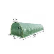 Strong Tunnel Greenhouse Galvanised Frame | 6m gallery detail image