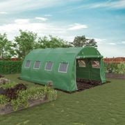 Strong Tunnel Greenhouse Galvanised Frame | 4.5m gallery detail image