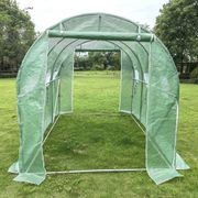 Strong Tunnel Greenhouse Galvanised Frame Side Open | 3m gallery detail image