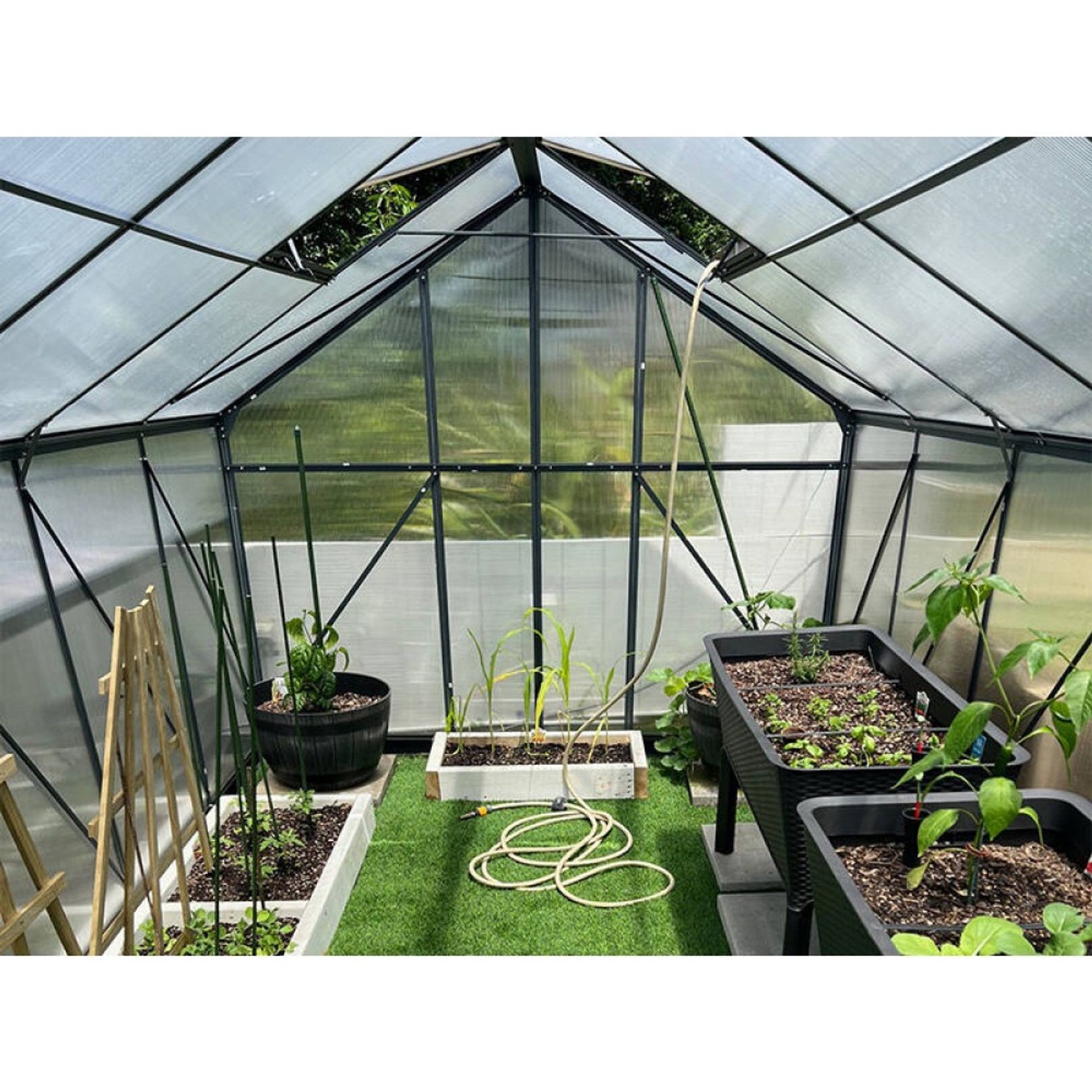 Greenhouse 6mm Twin Wall 2230 x 2240 x 2150mm gallery detail image