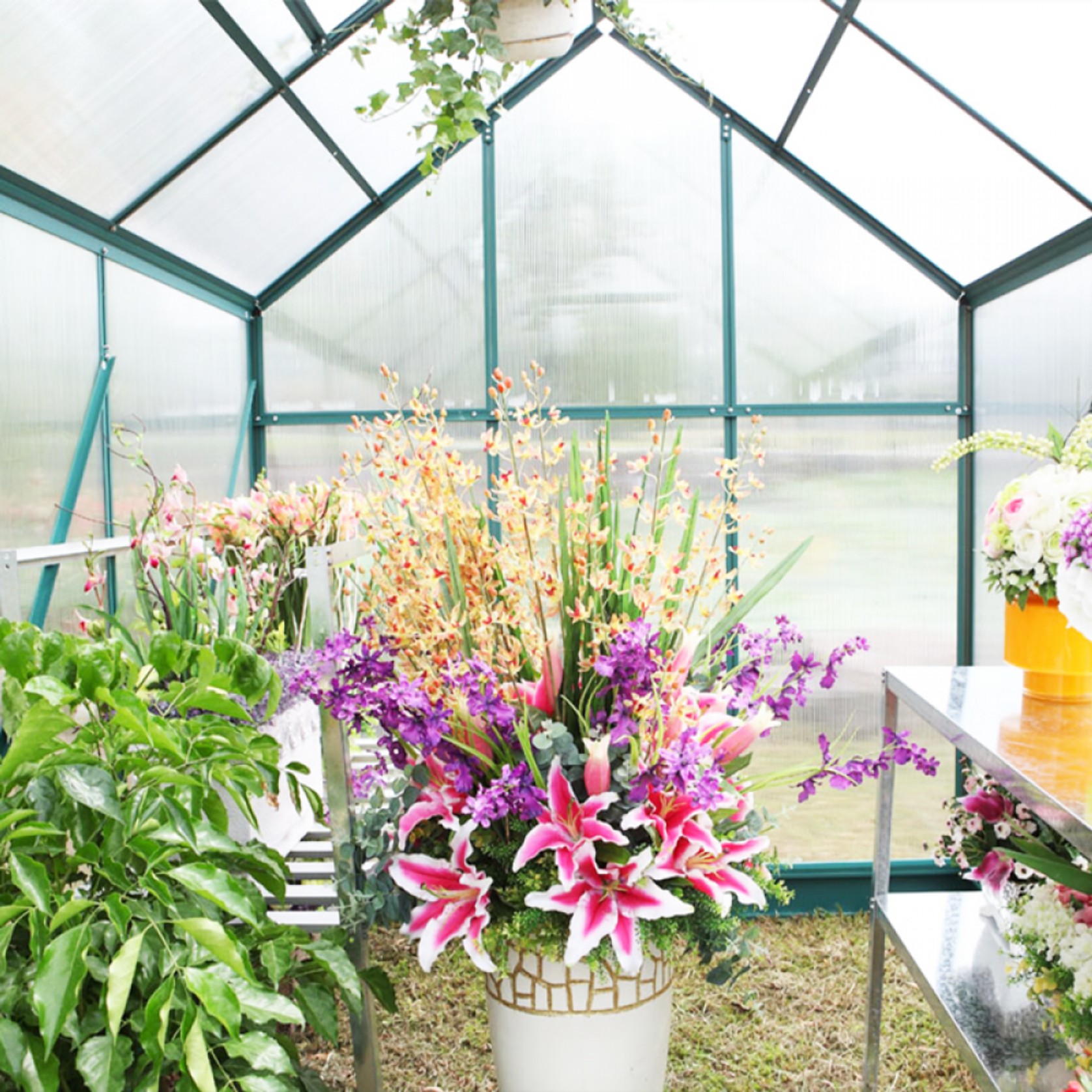 Ultimate Greenhouse 6mm Twin Wall 3000 x 9000mm gallery detail image