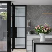 Steel Frame Glass Hinge Doors  - Galvanised FPS50 gallery detail image