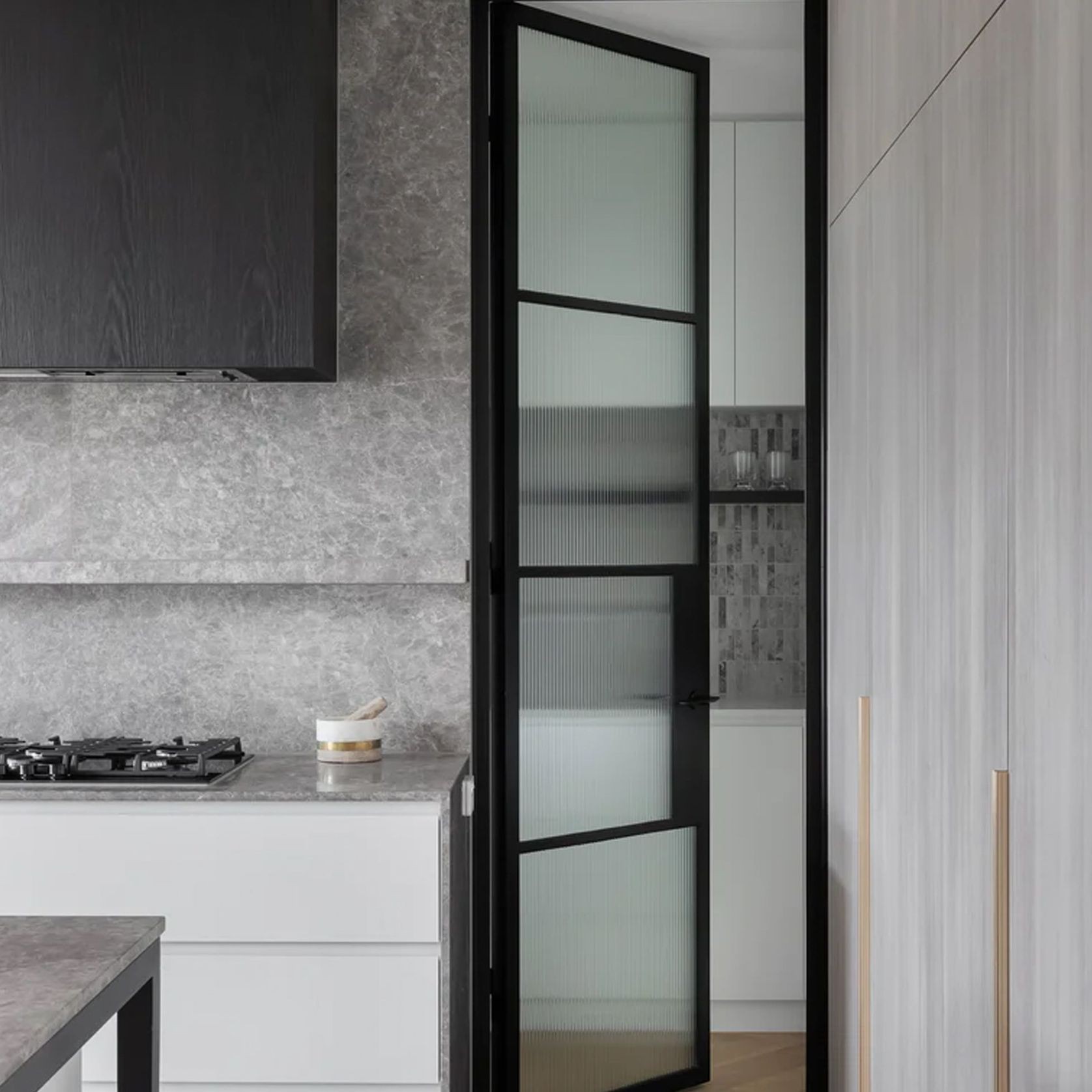 Steel Frame Glass Hinge Doors  - Galvanised FPS50 gallery detail image