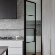 Steel Frame Glass Hinge Doors  - Galvanised FPS50 gallery detail image
