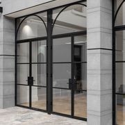 Arch Steel Frame Glass Hinge Doors - Galvanised FPS50 gallery detail image