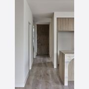 Iron Batten Hinge Entry Doors - Galvanised FWA50 gallery detail image