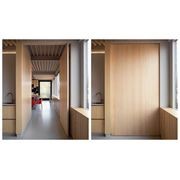 FritsJurgens Pivot Door Systems gallery detail image