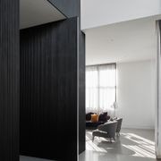 FritsJurgens Pivot Door Systems gallery detail image