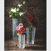 Bossa Nova Crystal Basket Vases gallery detail image