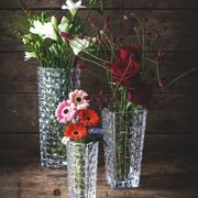 Bossa Nova Crystal Basket Vases gallery detail image