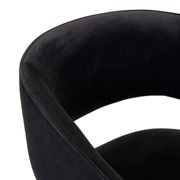 Eliza Dining Armchair gallery detail image