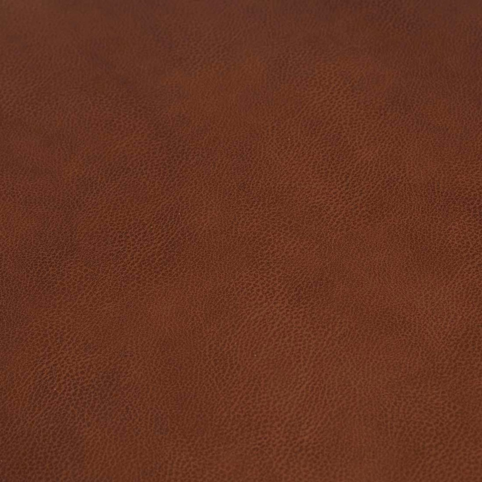 Stanley Dining Armchair gallery detail image