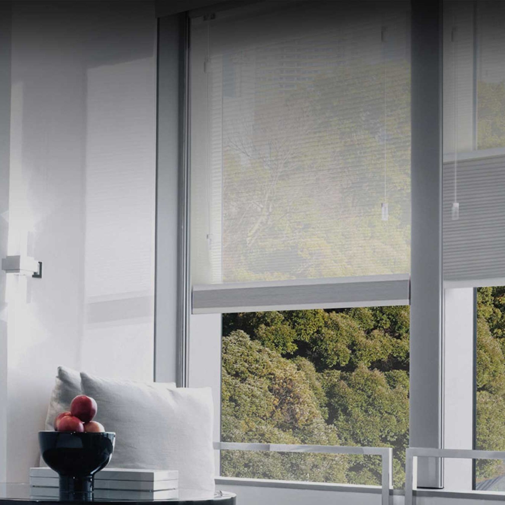 Honeycomb Blinds | Blinds gallery detail image