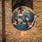 Stainless Steel Round Tub - Bring the heat gallery detail image