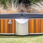 Stainless Steel Electric Bathtub gallery detail image