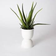 Domes Metal Planter Small - White gallery detail image