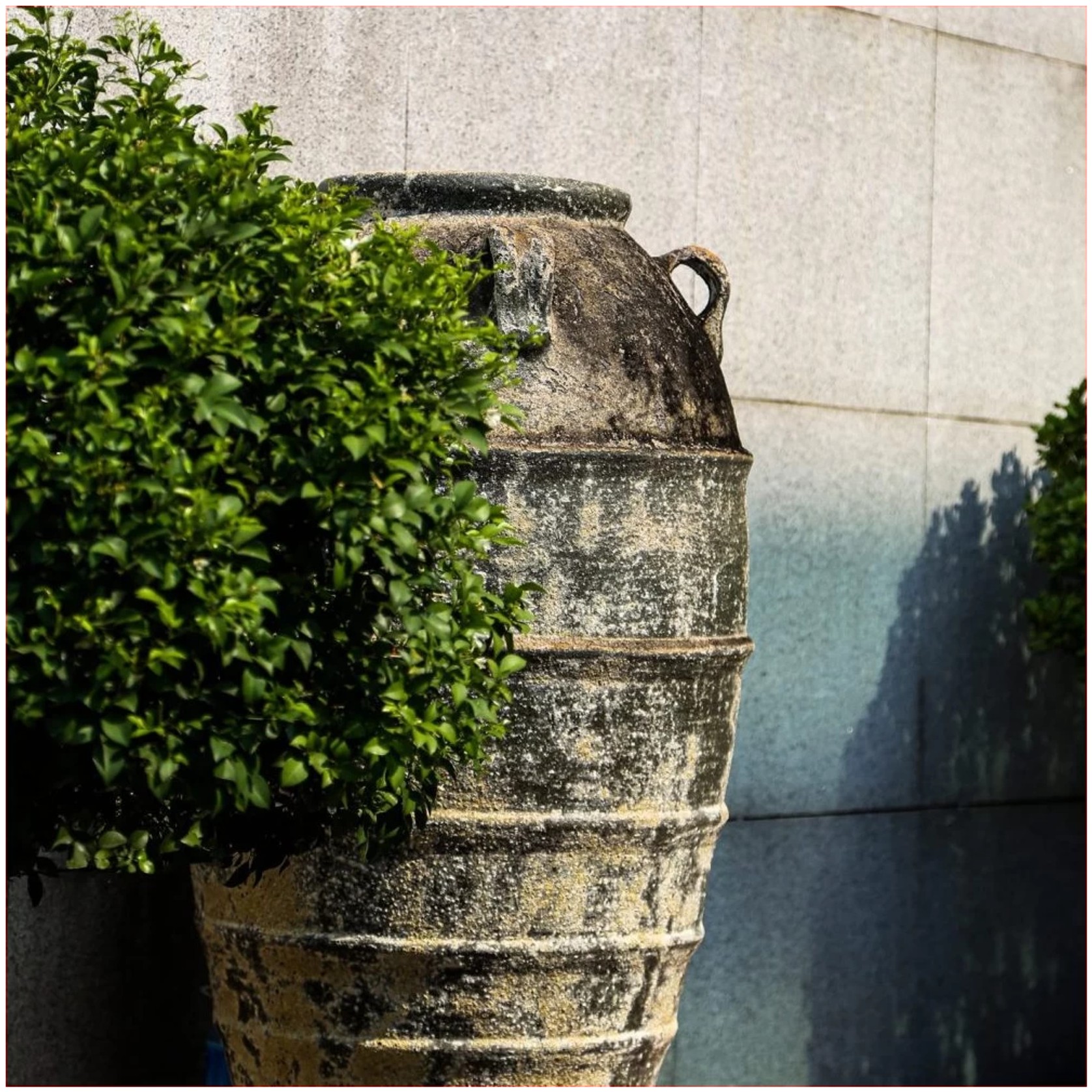 Atlantis - Kos Jar (with lugs) gallery detail image