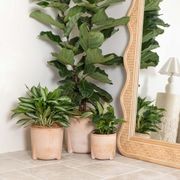 Amalfi Pot gallery detail image