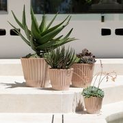 Rigato Lined Pots gallery detail image