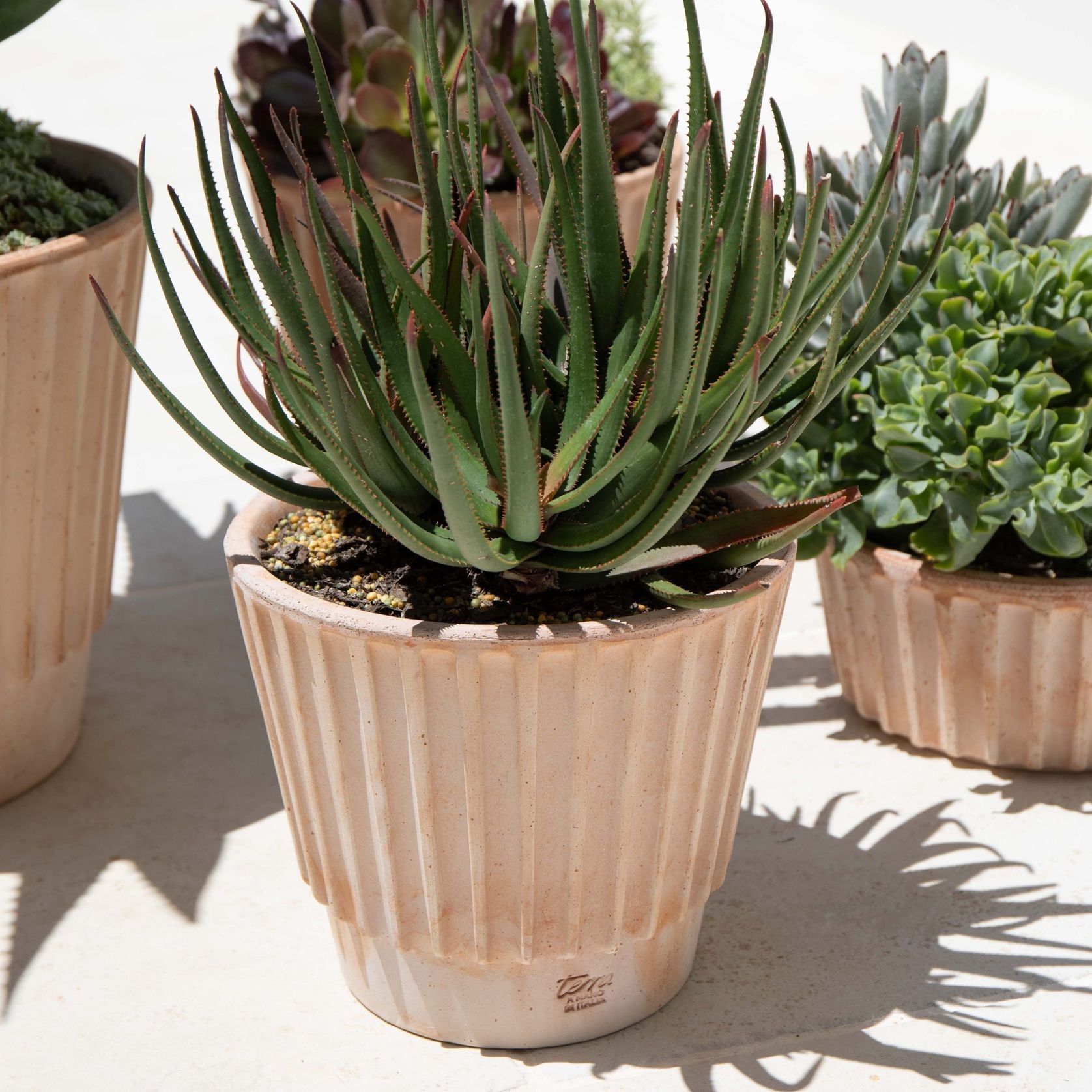 Rigato Lined Pots gallery detail image