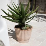 Rigato Lined Pots gallery detail image