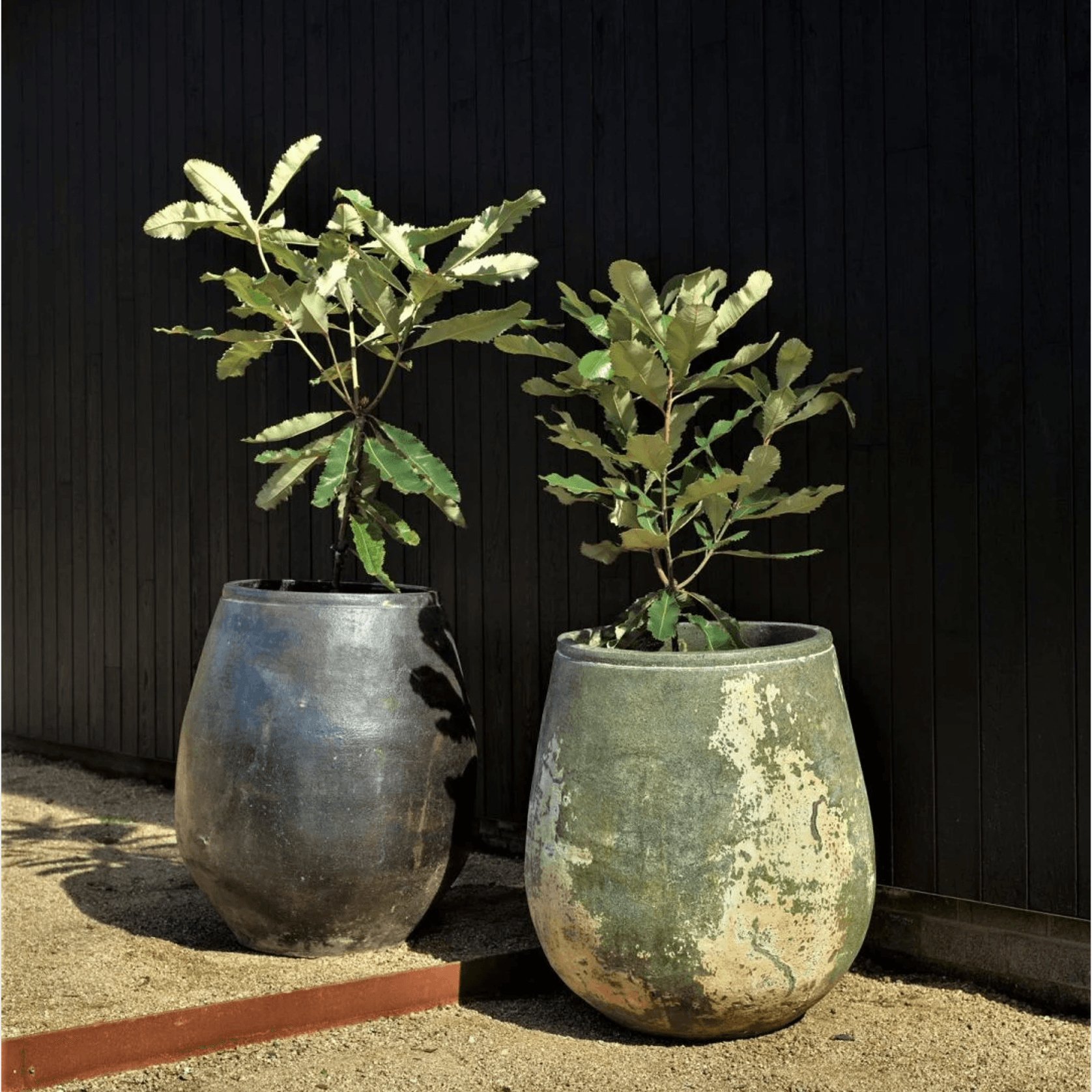 Woodfired Tulip gallery detail image