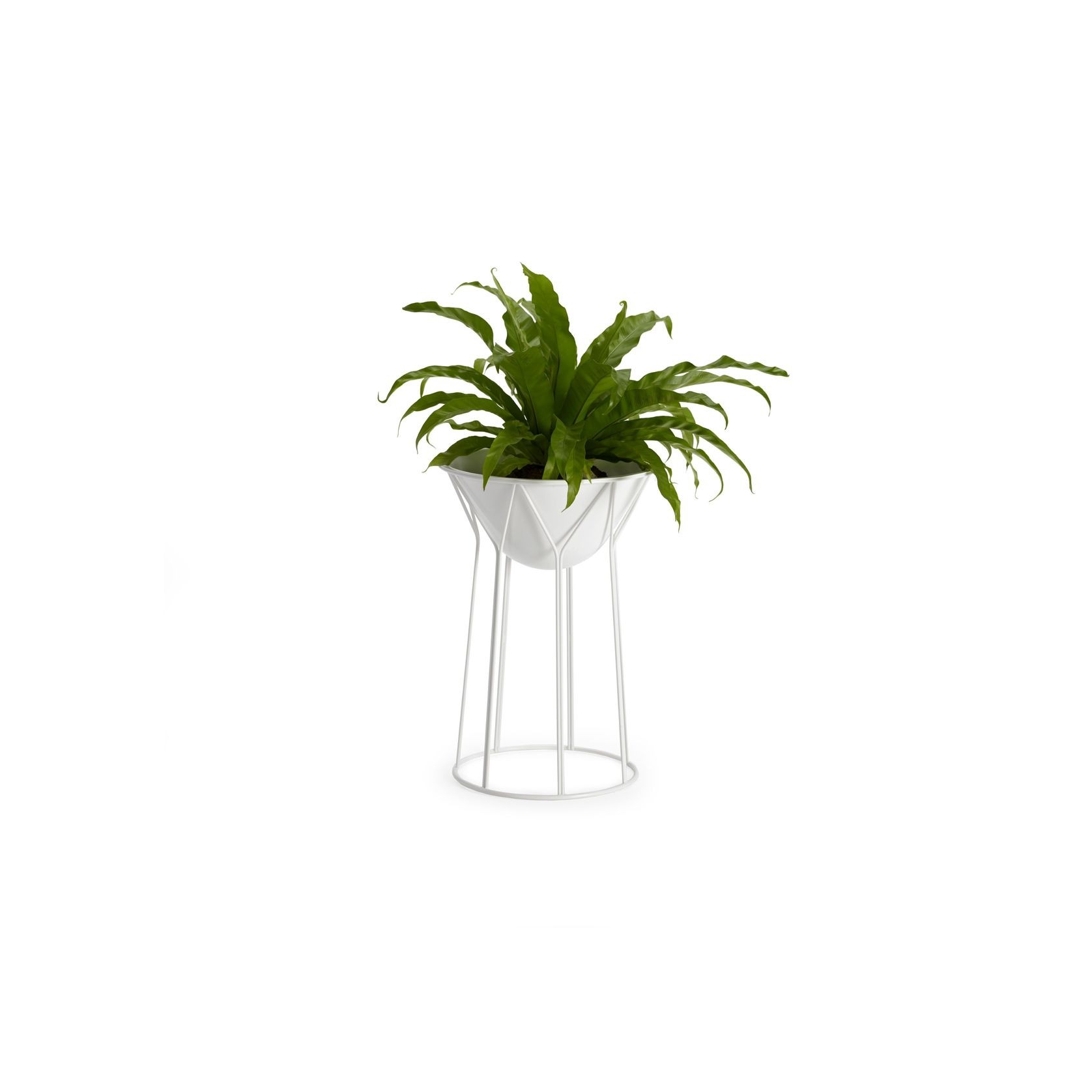 Circus Planter by Formfjord gallery detail image