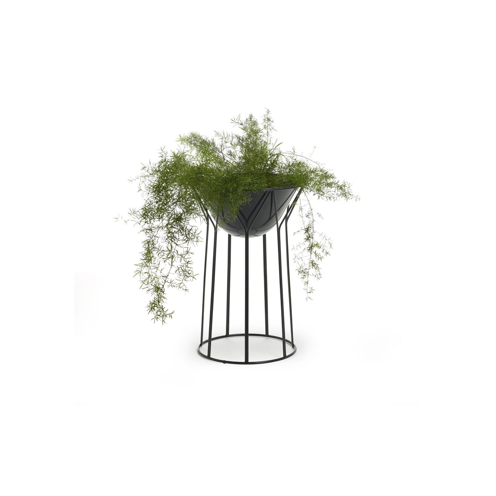 Circus Planter by Formfjord gallery detail image