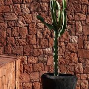 Atlantis Planter gallery detail image