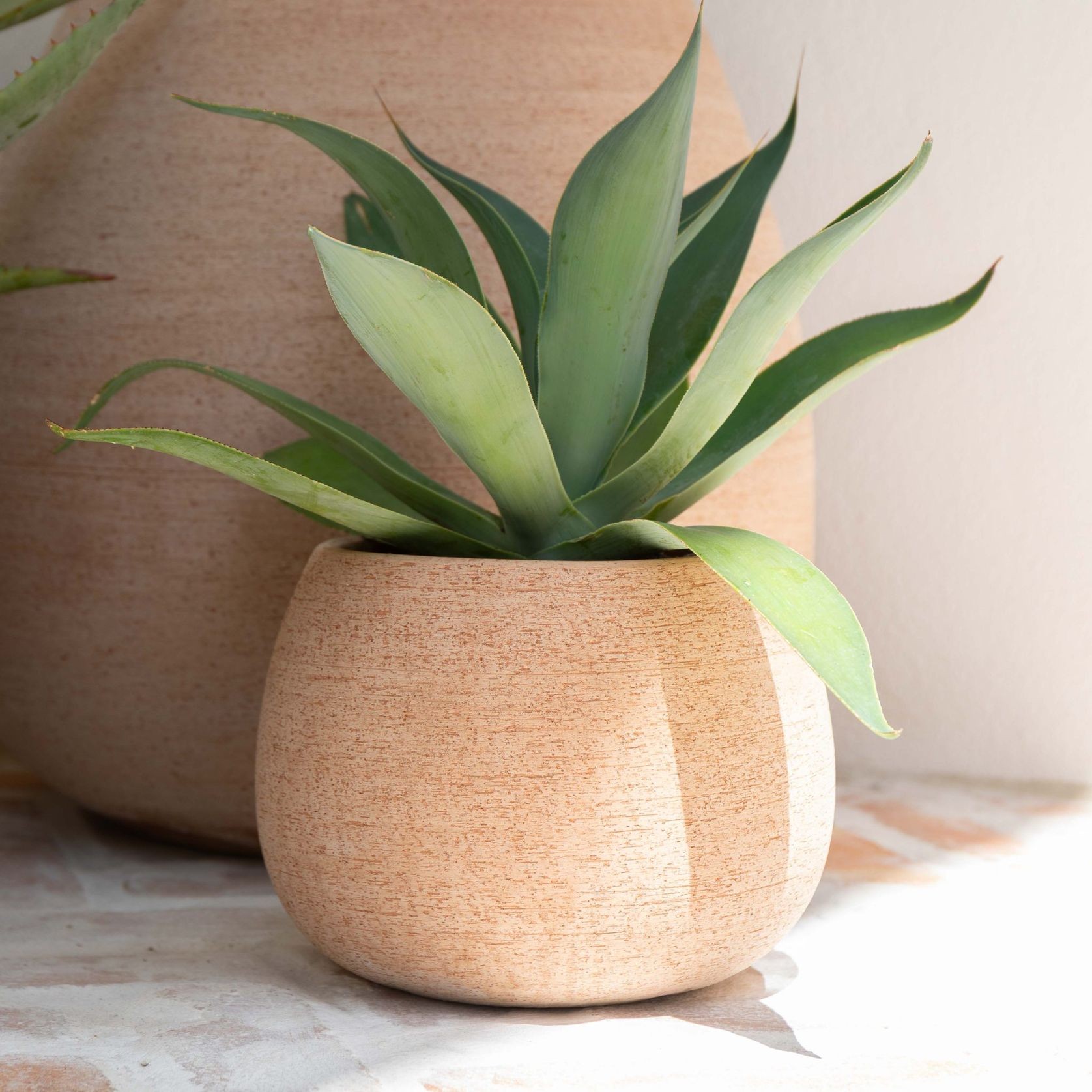 Erasmo Short Cup gallery detail image