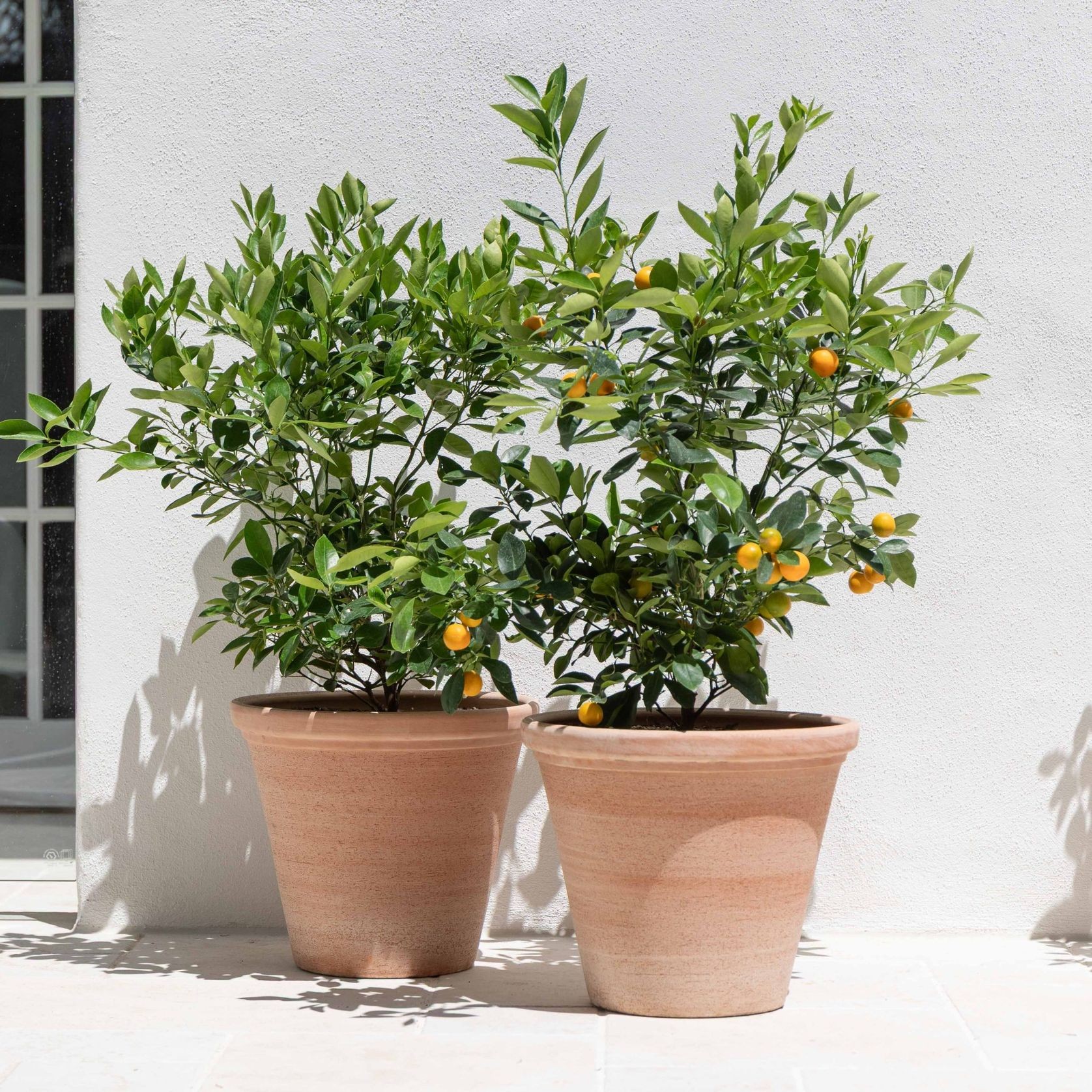 Etrusco Terracotta Pots Collection gallery detail image