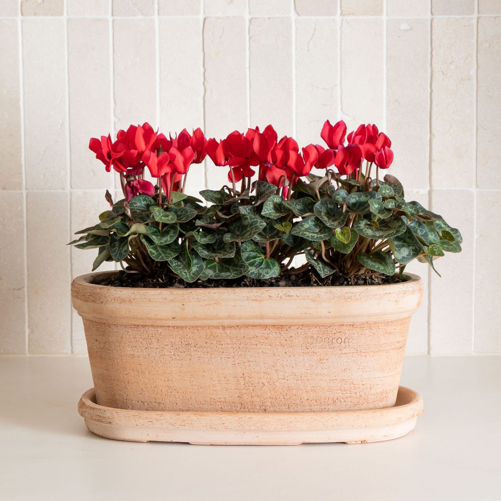 Etrusco Terracotta Pots Collection gallery detail image