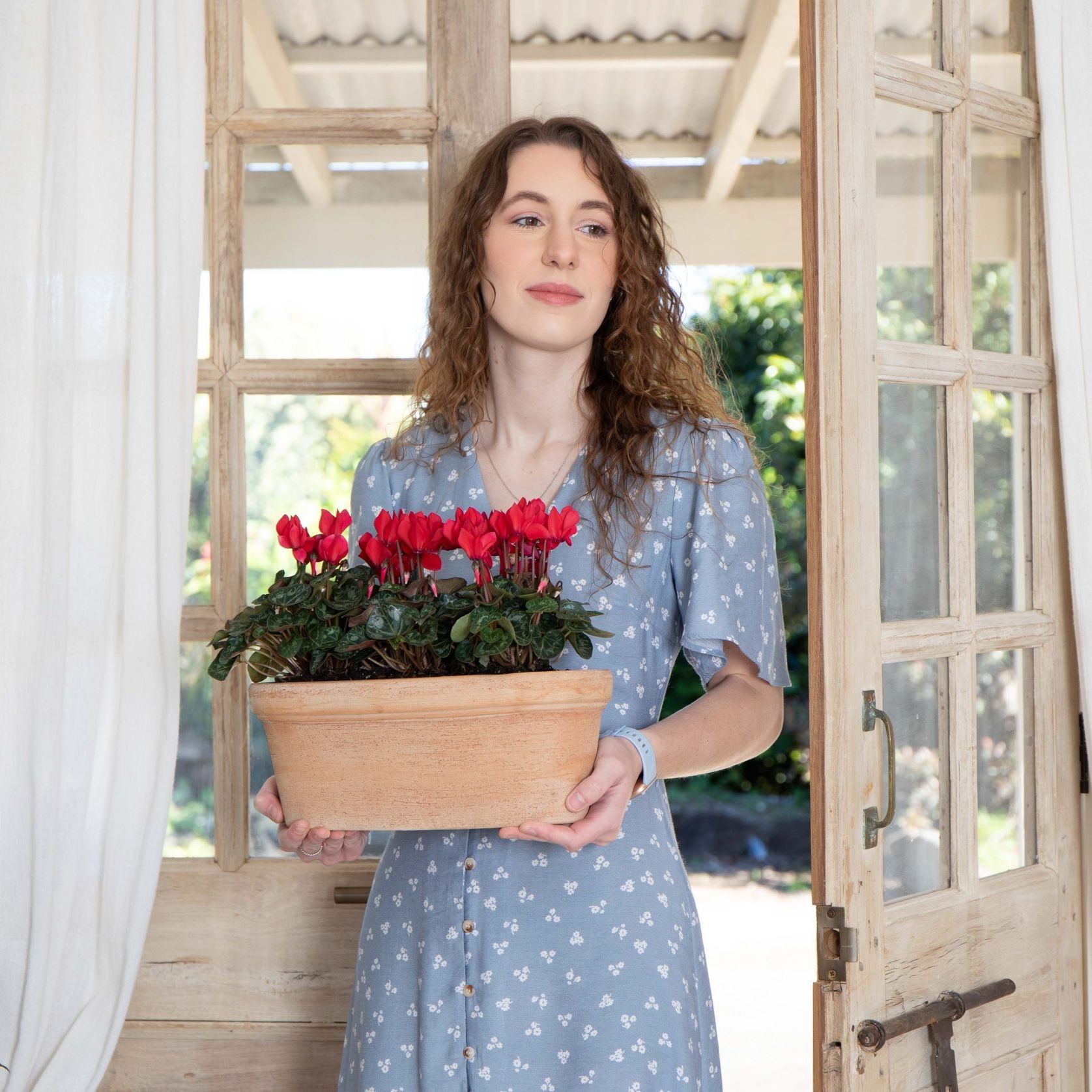 Etrusco Terracotta Pots Collection gallery detail image